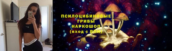 a pvp Арсеньев