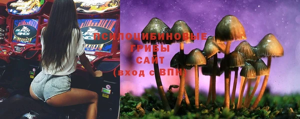 a pvp Арсеньев